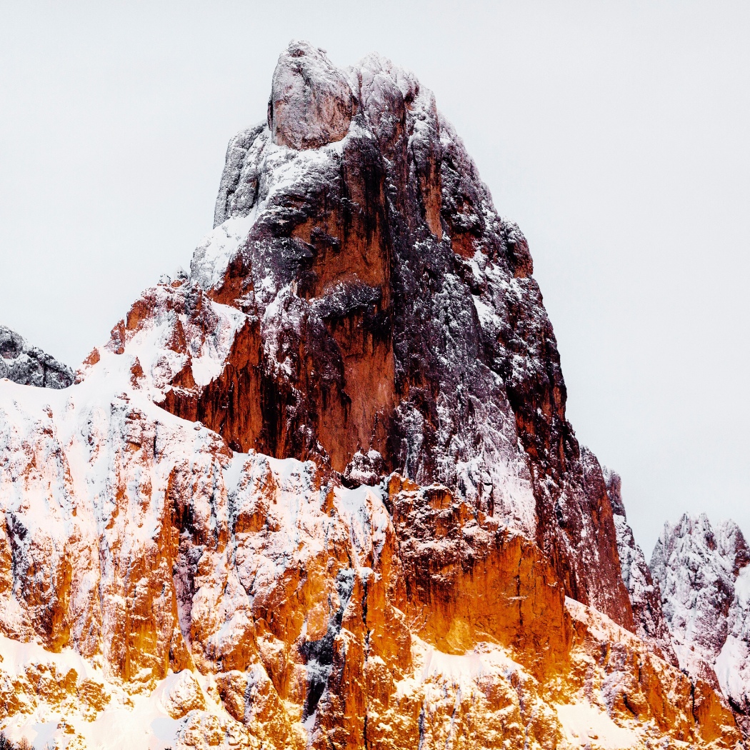 Photo of Thomas Licata